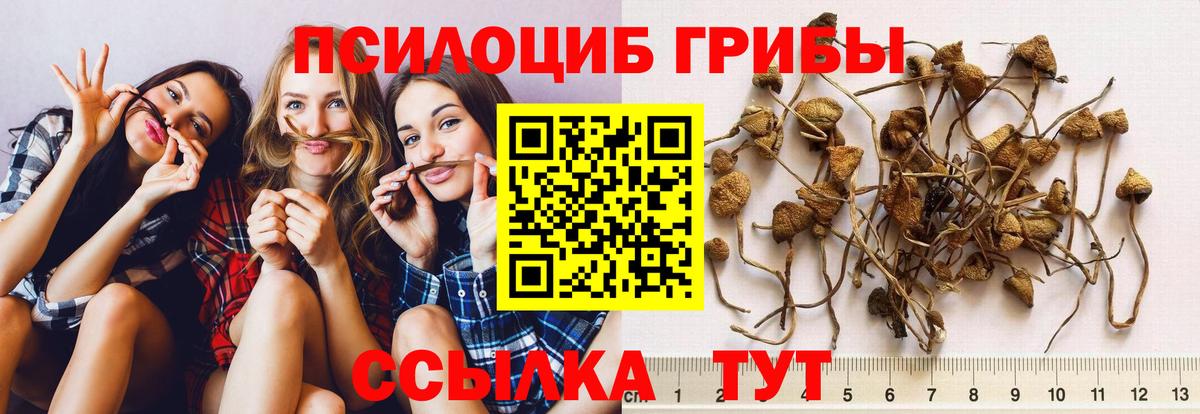 Кемерово  Псилоцибиновые грибы MAGIC MUSHROOMS  Вход с VPN 