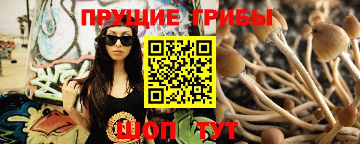 Псилоцибиновые грибы прущие грибы Кемерово
